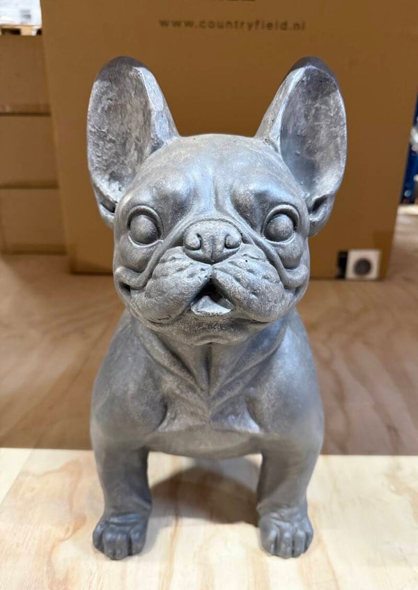Grote zittende bulldog