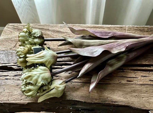 Parrot tulpen, 40cm, 5 stelen, dark olive