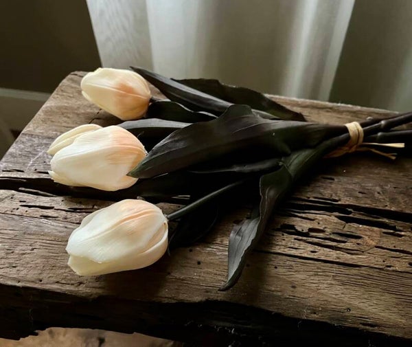 Tulpen, 30cm, 5 stelen, off white