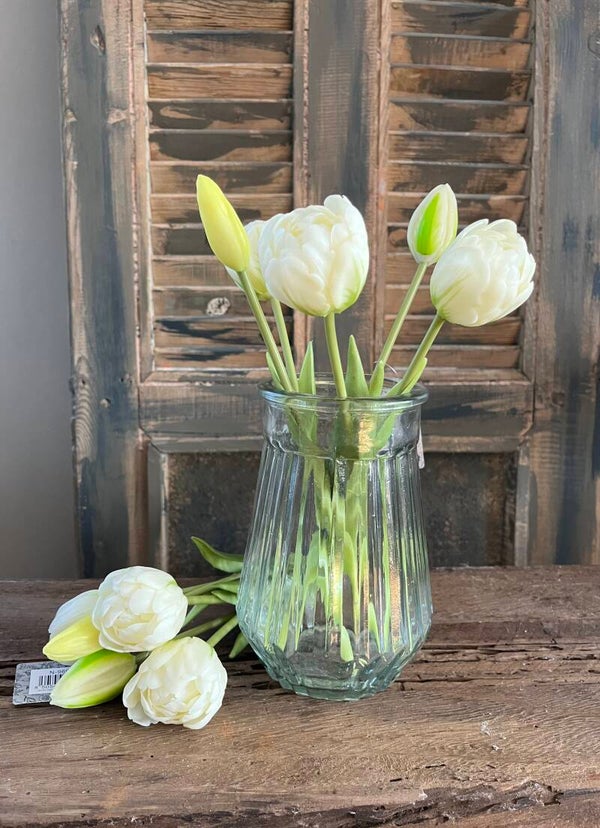 Dubbele tulp, 29cm, 5 stelen - wit