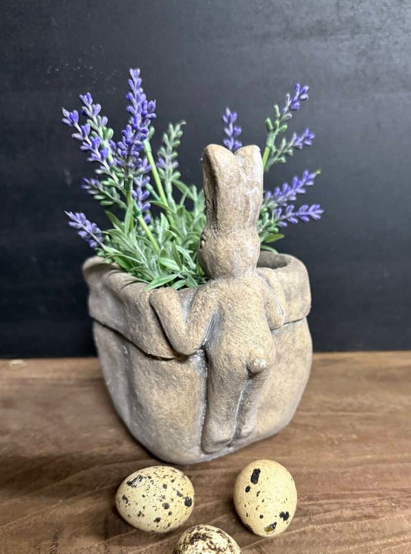 Potje met hangend haasje  incl lavendel