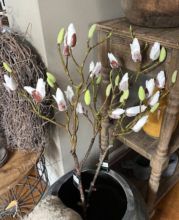 Magnolia tak 90cm