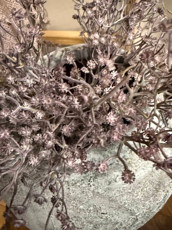 Sobere takjes met oud roze kleine bloemetjes