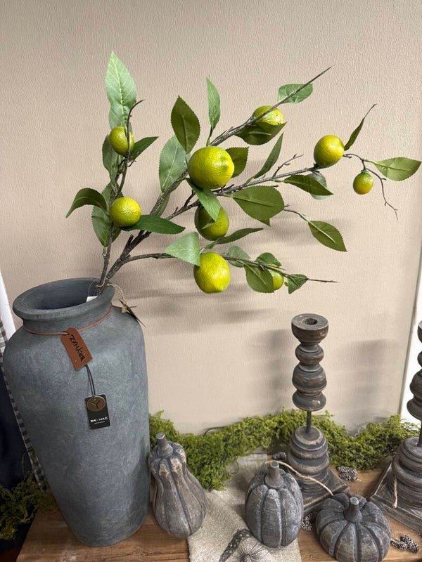Citroenen tak, vol en lang, 90cm