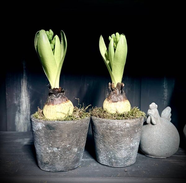 Kunst hyacint bol op steker