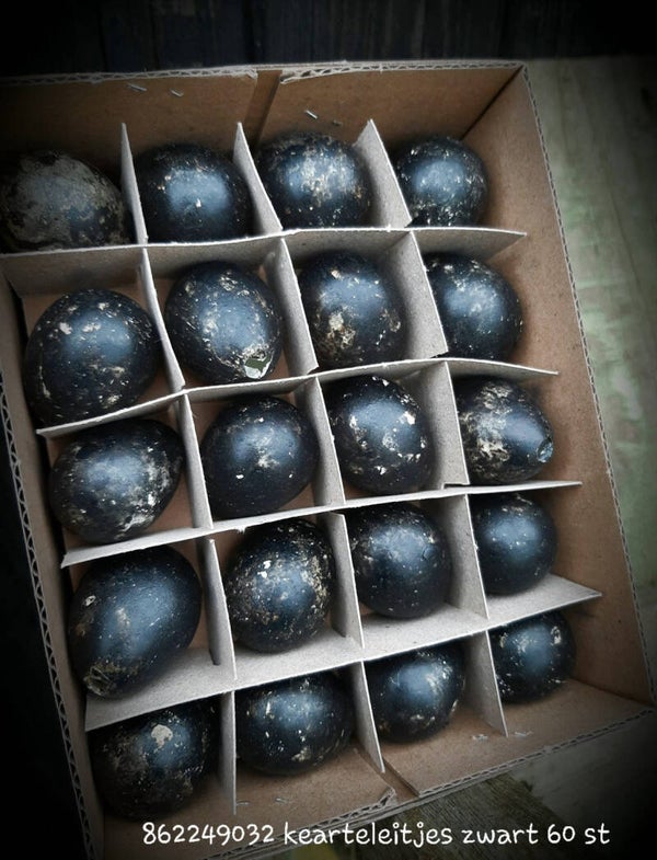 Doosje zwarte kwarteltjes 60 stuks