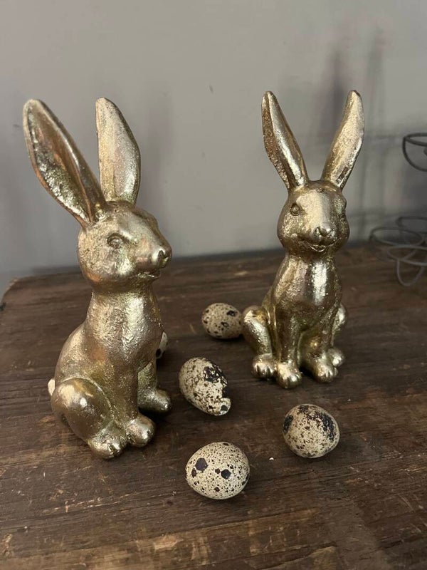 goudkleurig zittende haas