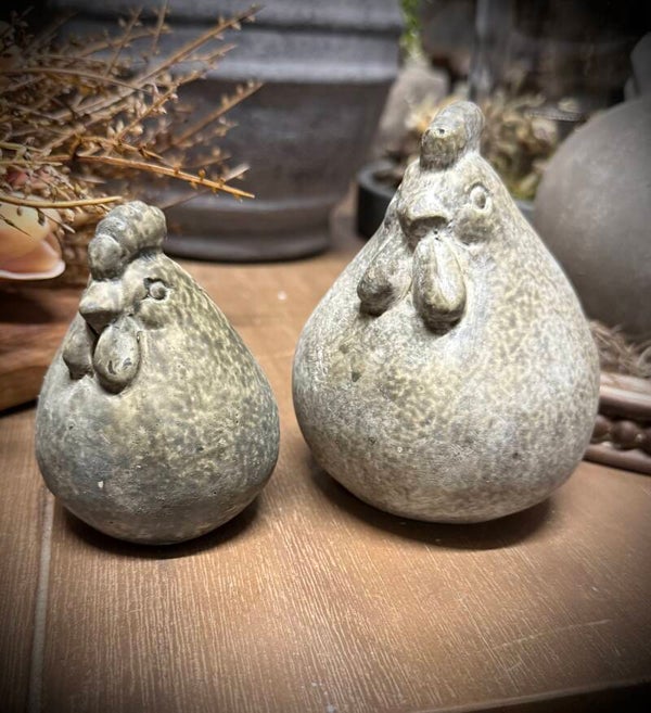 Set van 2 kippetjes