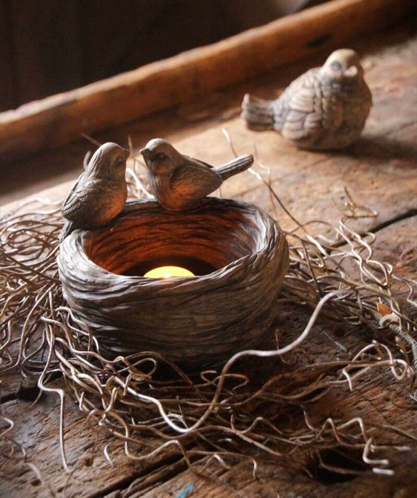 BRYNXZ 2 vogels op nest