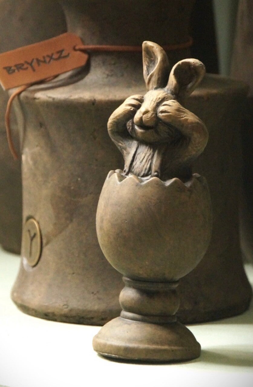 BRYNXZ surprise ei met haas - Maj brown