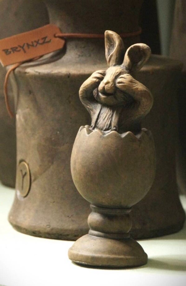 BRYNXZ surprise ei met haas - Maj brown