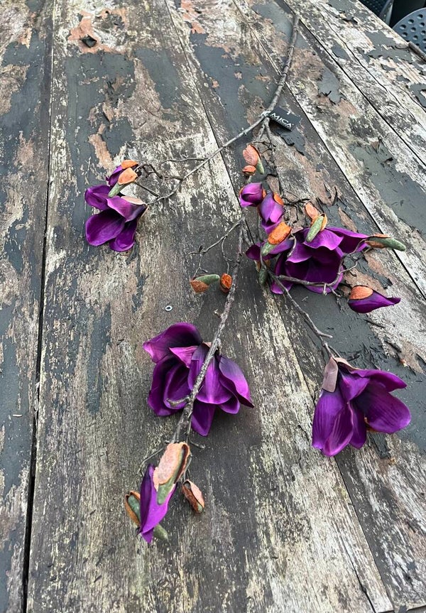 Donker paarse magnolia tak 112cm