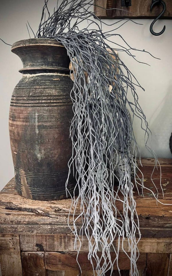 Lange sobere tillandsia tak