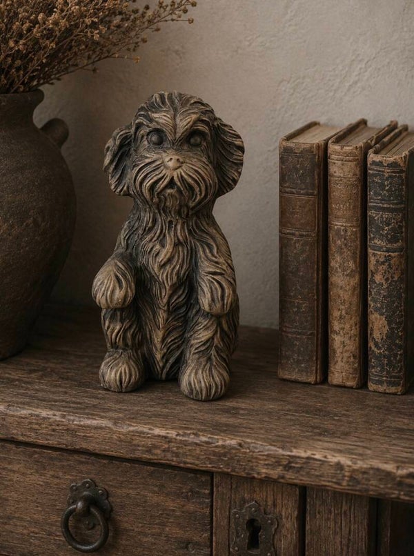 Brynxz sitting dog cute - Majestic Brown