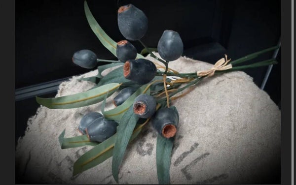 Eucalyptusbes toef/bosje 40cm