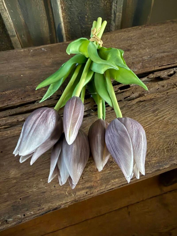 Mini tulpen, 5 stelen, 25 cm - Purple grey