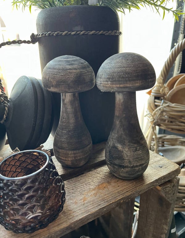 Houten paddenstoelen set van 2