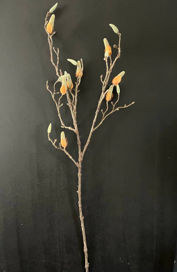 Magnolia in knop - tak 83 cm