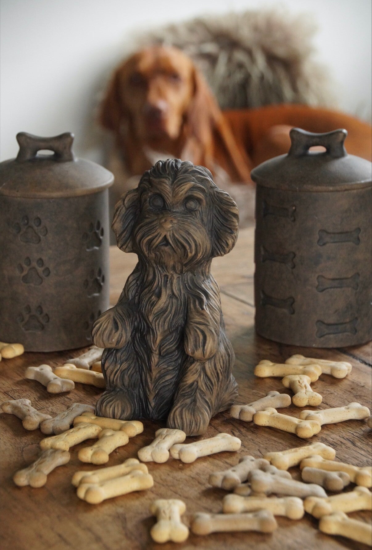 Brynxz sitting dog cute - Maj Brown 🤎