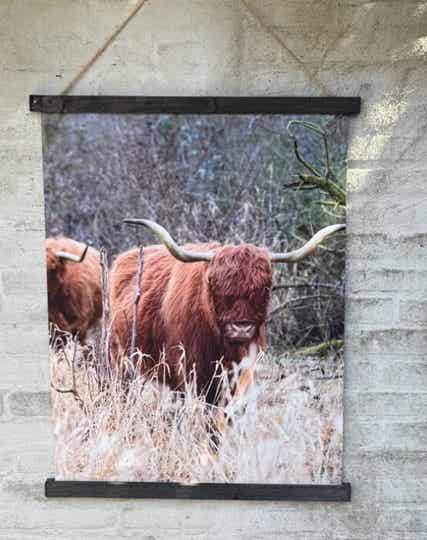 Wanddoek 60x80 hooglander kleur nr 25