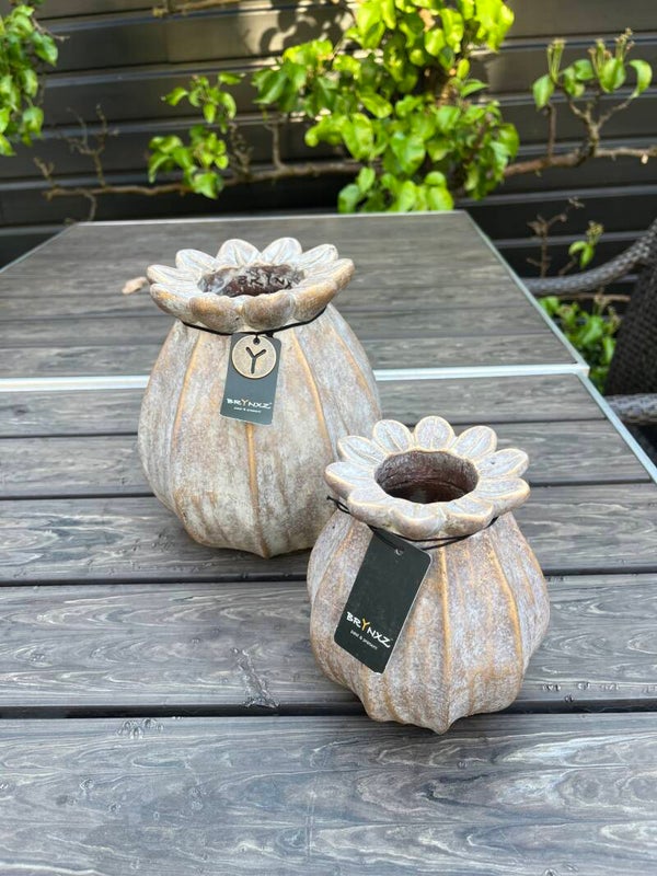 BRYNXZ jewel vaasjes bloem - 2 maten