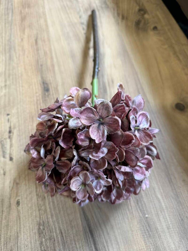 Hortensia Mauve 50cm