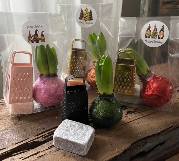 Amber waxglitterhyacint Giftsetje