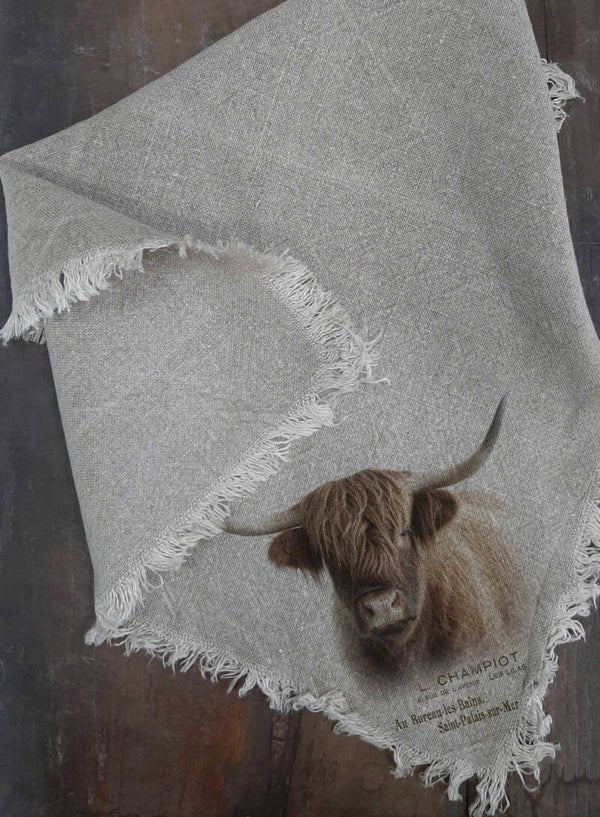 NEW Shabby doek hooglander 45x45cm gekleurd