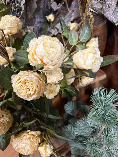 SYLXZ wild rosés of white 67cm