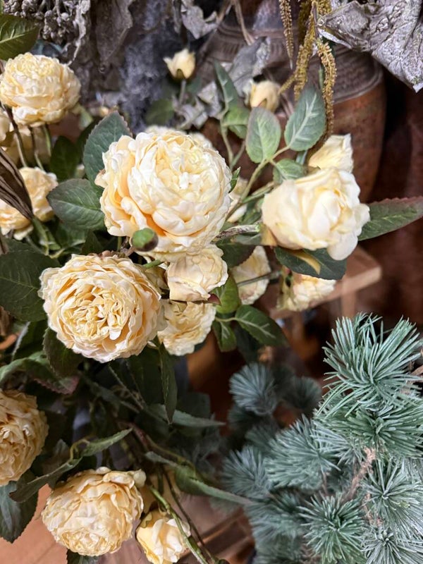 Brynxz /SYLXZ wild rosés of white 67cm