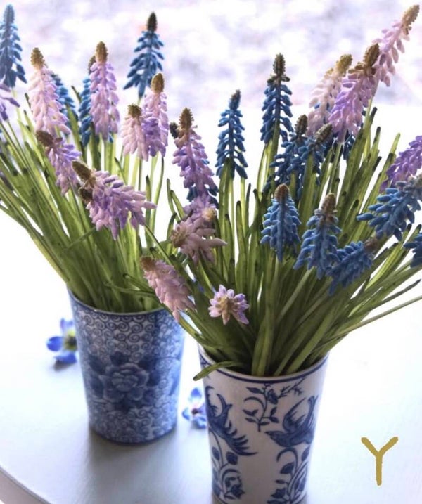 SYLXZ blauwe en roze druifjes