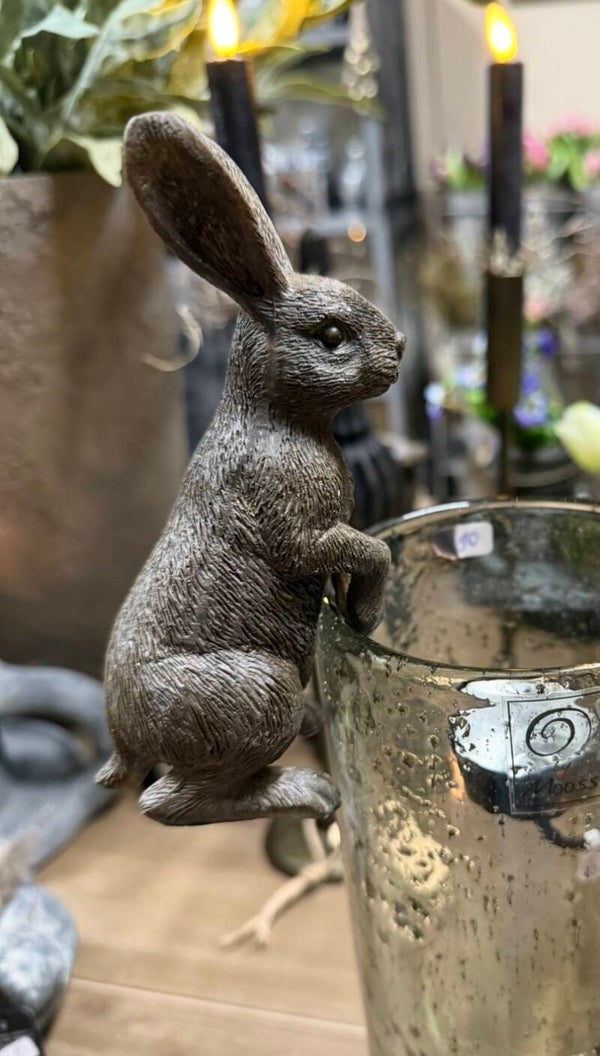 Hanghaasje (kan ook staan)