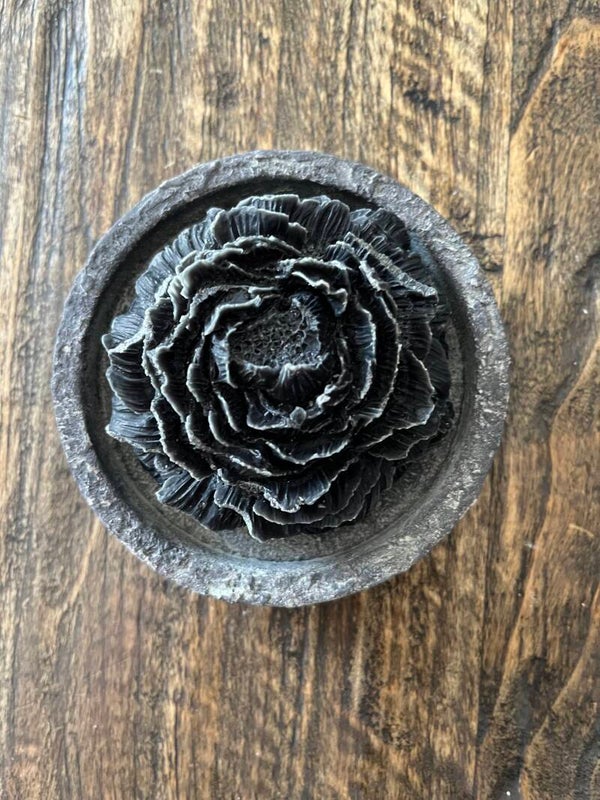 geurroos black musk in bakje