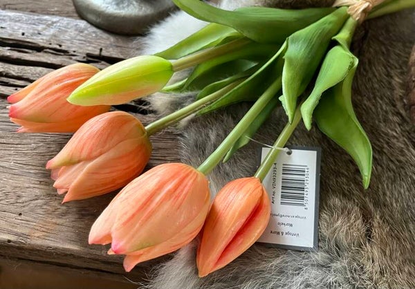Mini tulpen, 5 stelen, 25cm - peach