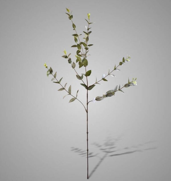 SYlxz ligustrum green/grey