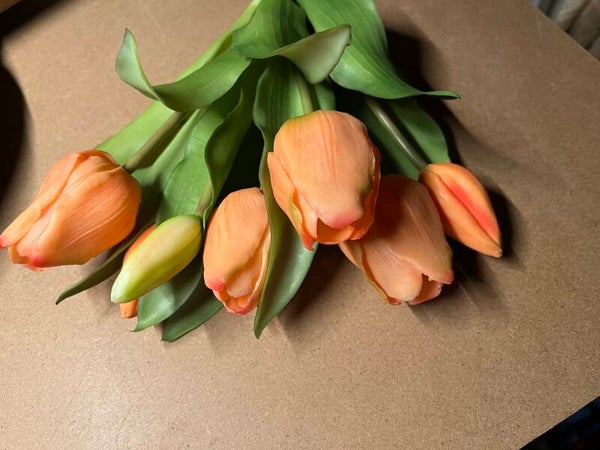 Tulpen, 7 stelen, 30cm - peach