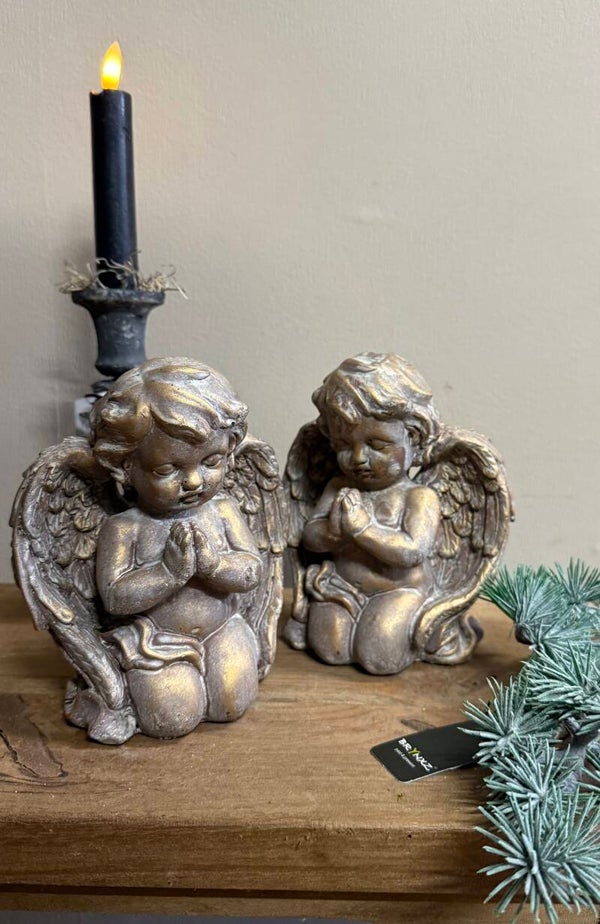 Brynxz heavenly angel in jewel