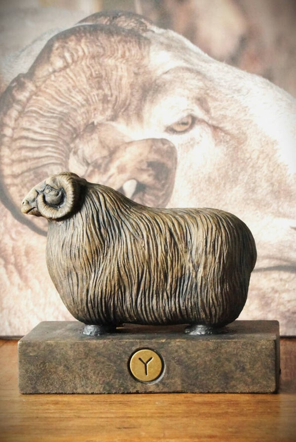BRYNXZ schaap met hoorn - Maj Brown