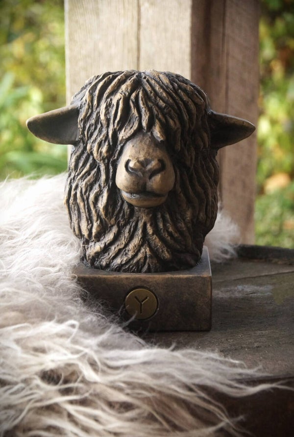 BRYNXZ schaap hoofd - Maj Brown
