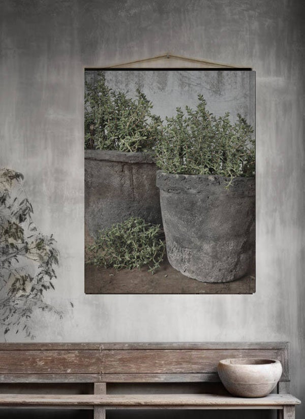 Wanddoek/Tuinposter Tijm 60x80cm