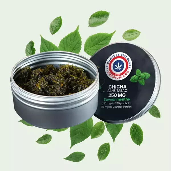 Shisha 250mg CBD - Menta  - 100gr