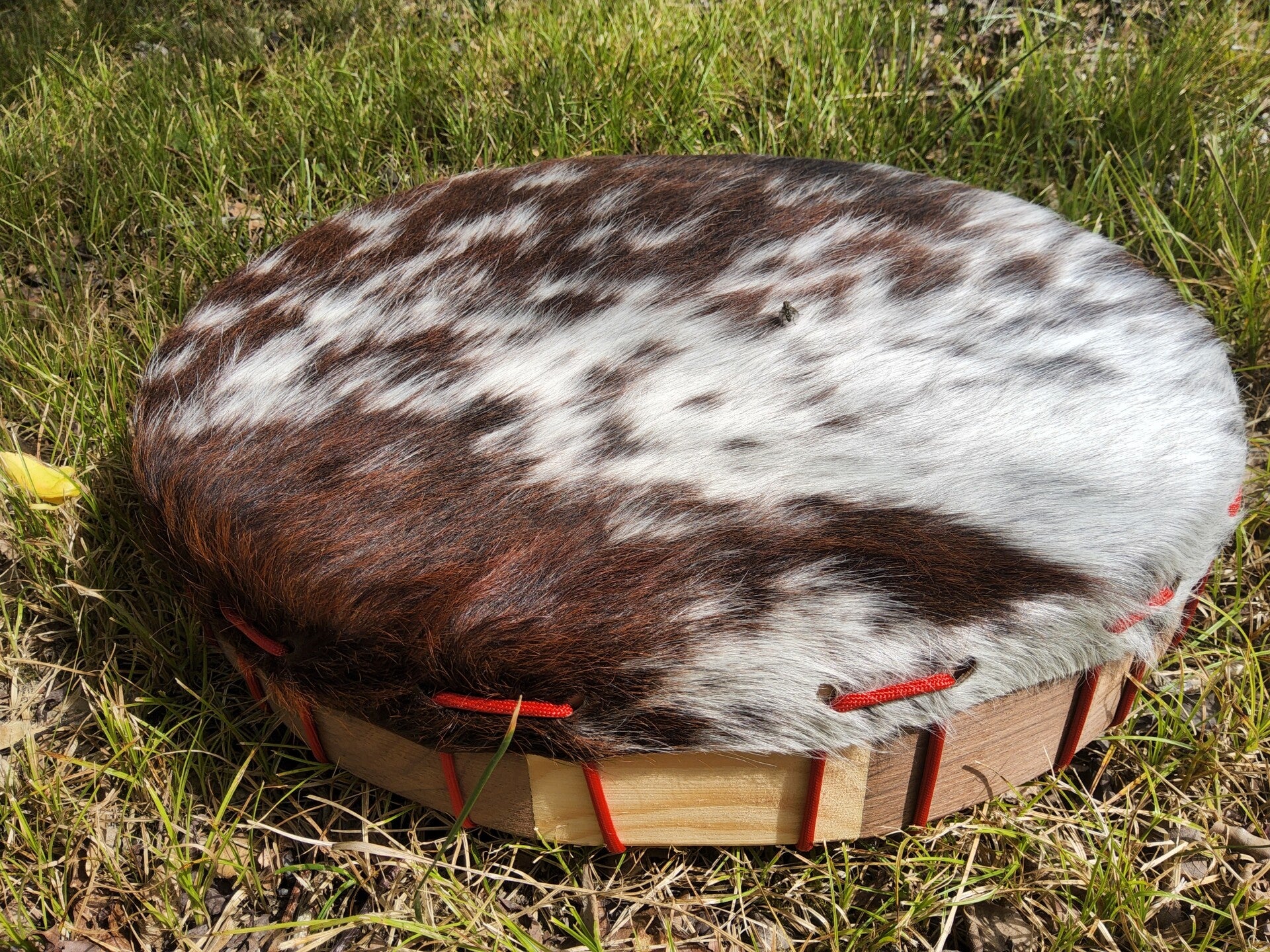 TAMBOUR VACHE POILUS 37CM