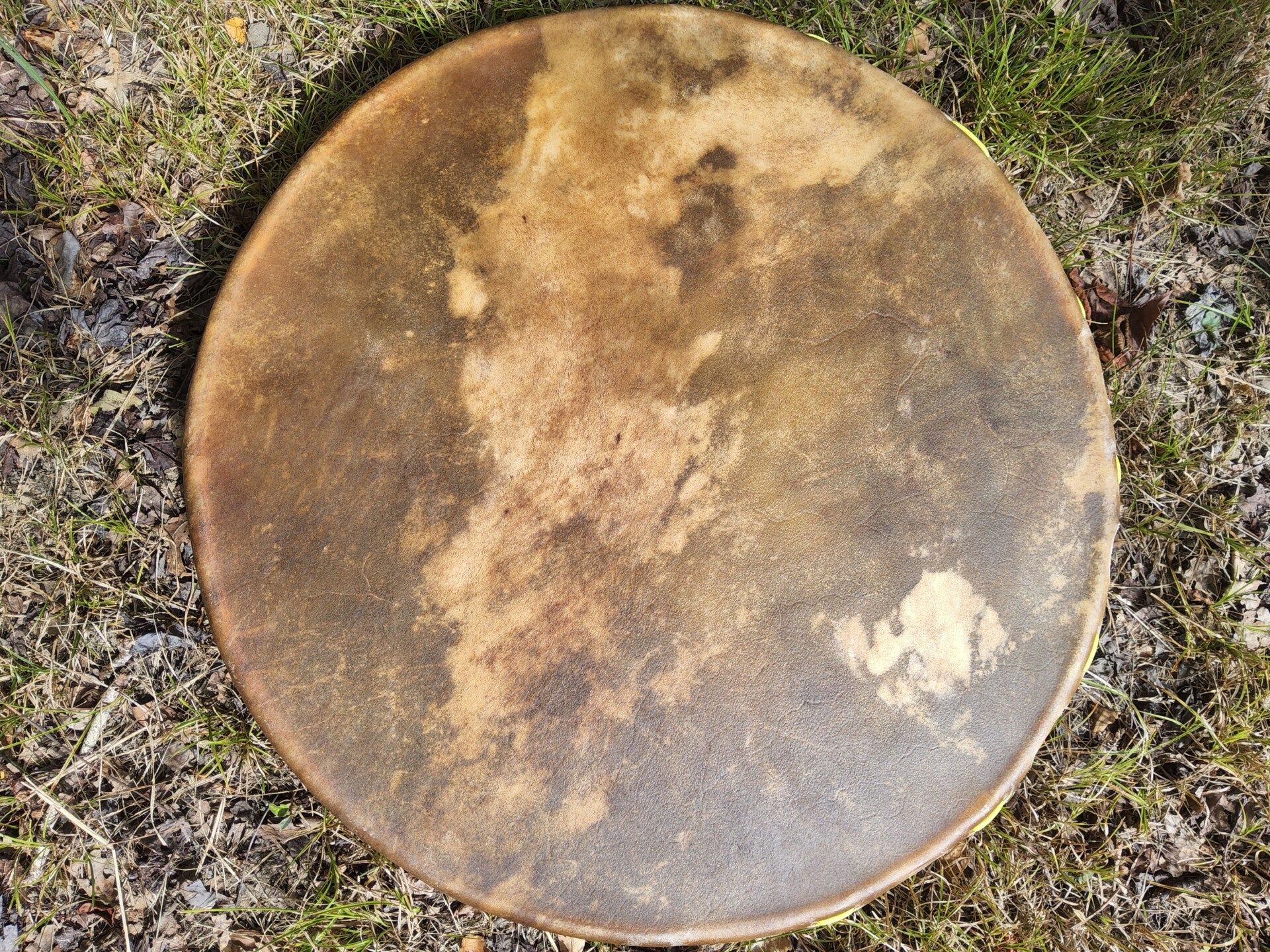 Tambour Chamanique WAPITI / MULTIESSENCE