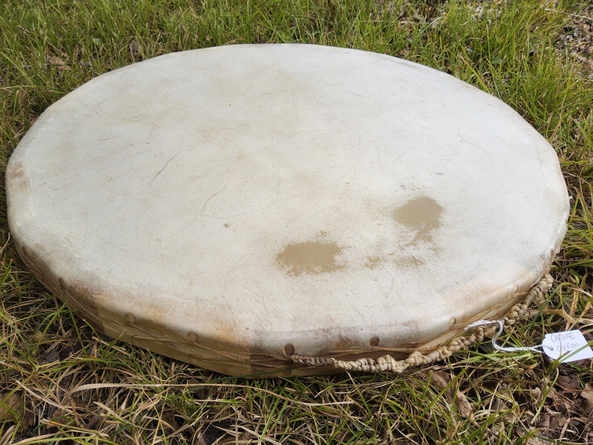 Tambour Océan chèvre blanchit
