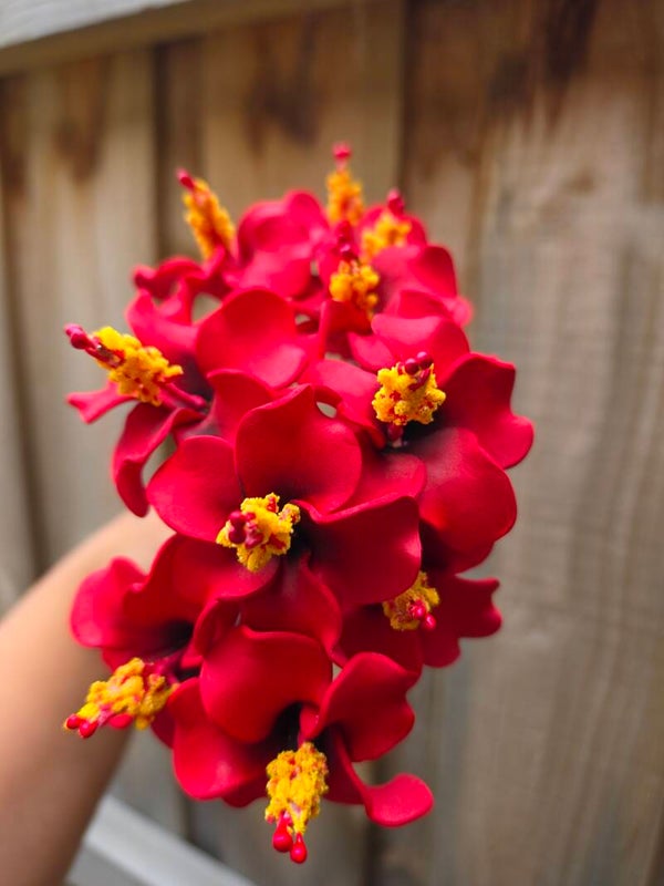 Small Aute and Frangipani Bundle