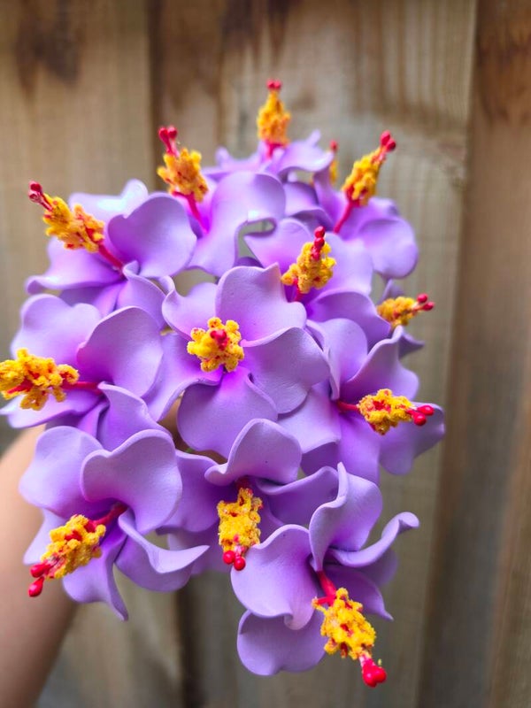 100 Small Hibiscus Seis