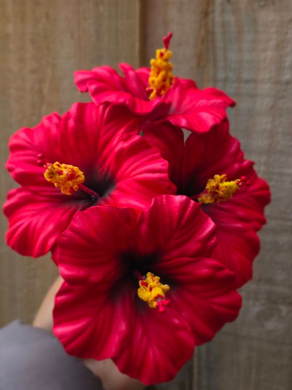 70 Medium Hibiscus Bulk