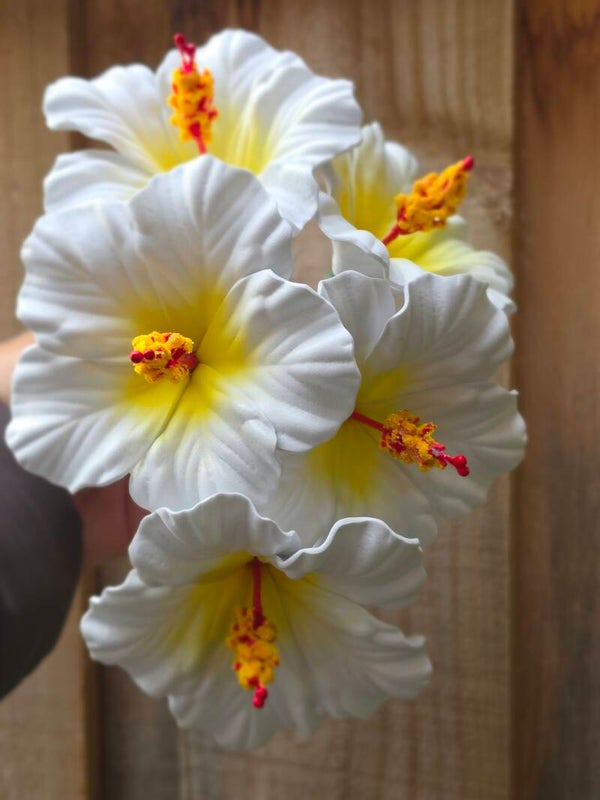 Mama Malia Hibiscus Sei