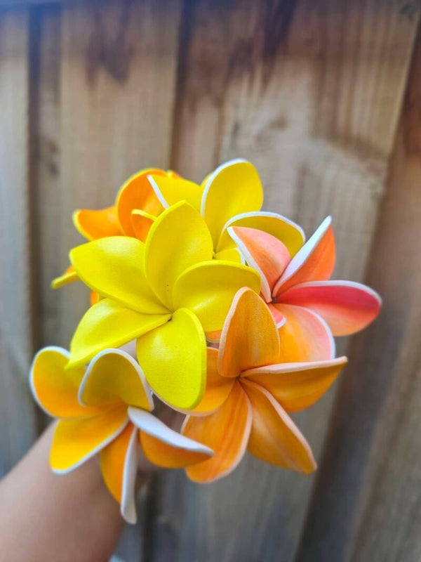 100 Small Frangipani Seis Bundle