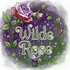 Wilde Rose 13